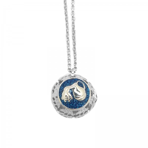 DN0014 Horoscope- Aquarius 925 Silver Necklace